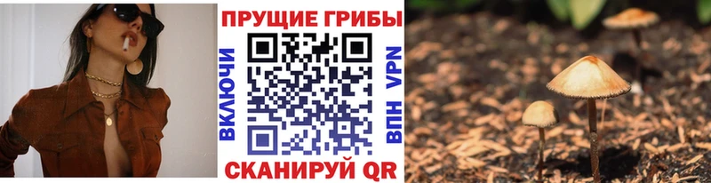 Галлюциногенные грибы GOLDEN TEACHER  Кизел 